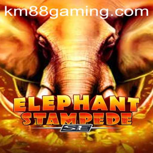Discover the Exciting World of ElephantStampedeSE